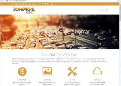 Página Web Económica 6