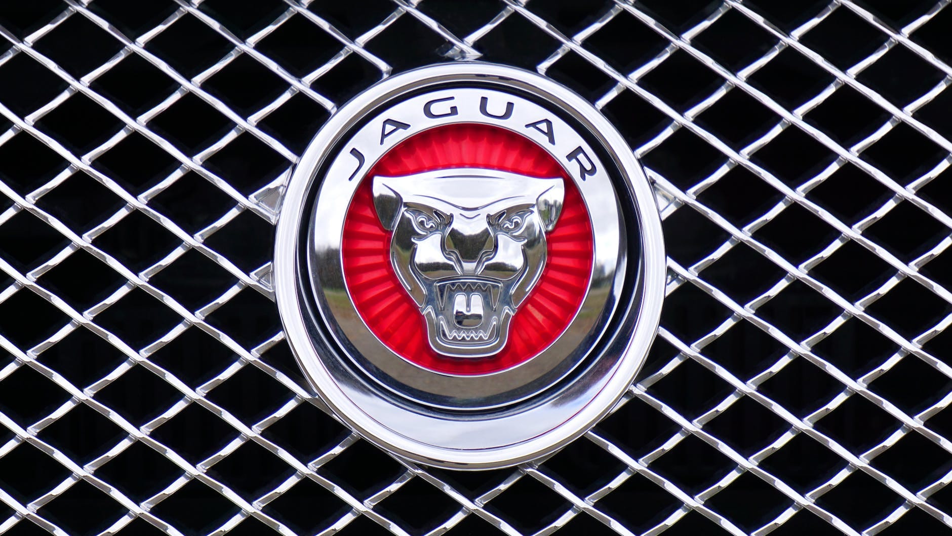 jaguar emblem